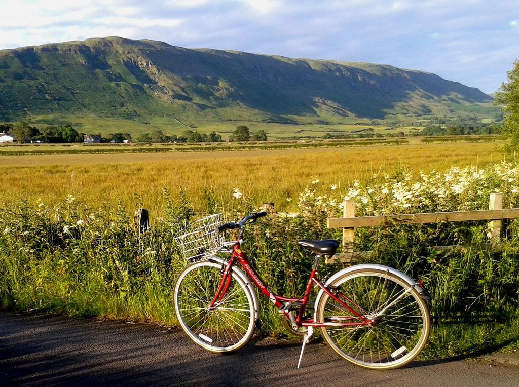 Dingieshowe Cottage Lennoxtown Buitenkant foto